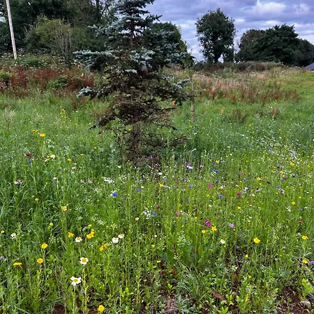 Little Rock Retreat Log With Hot Tub Διαμέρισμα