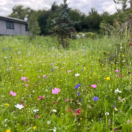 Little Rock Retreat Log With Hot Tub Διαμέρισμα *