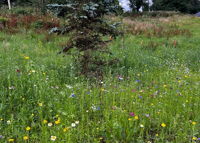 Little Rock Retreat Log With Hot Tub Апартаменты